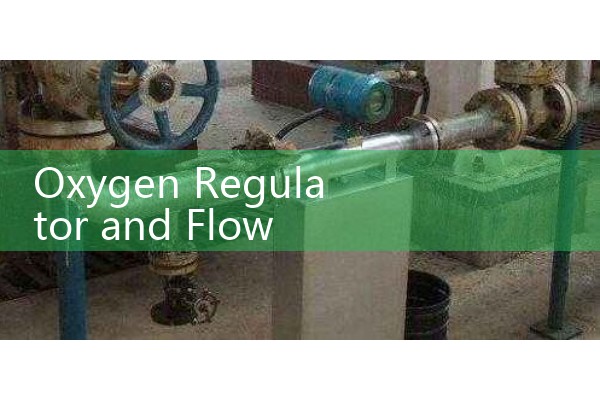 Oxygen Regulator and Flow Meter: Healthcare Gas Pressure Administration Tools
